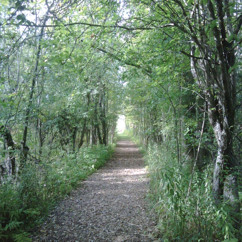 Trail at the Upper Canada Campground